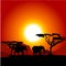 Silhouettes of elephants on African sunset