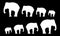 Silhouettes of elephants. Black background. Vector illustration