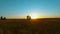 Silhouettes of family with baby walking in wheat field at sunset