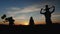 Silhouettes of family running in the meadow during sunset