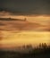 Silhouettes of fir trees in dense fog in the golden rays of the early morning in the mountains.