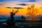 Silhouettes fishing boat and tree at sunset time, Phuket