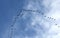 Silhouettes of flying geese in V formation