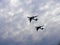 Silhouettes flying Russian Tu-95 bombers against the sky