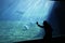 Silhouettes of girl in big aquarium. Girl watching the marine life in oceanarium