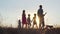 Silhouettes of a happy large family with a dog are walking against the background of the evening sun.