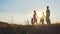 Silhouettes of a happy large family with a dog are walking against the background of the evening sun.