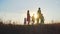 Silhouettes of a happy large family with a dog are walking against the background of the evening sun.