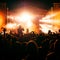 Silhouettes of a heads and hands of a crowd of fans at a live concert