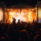 Silhouettes of a heads and hands of a crowd of fans at a live concert