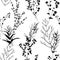 Silhouettes herbarium monochrome floral seamless pattern. Wild branches, leaves, flowers. Many kind of plants