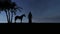 Silhouettes of a horse and a bedouin arab on the background of a starry night in the desert