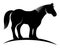 Silhouettes of horse full length. Emblem of equestrian center for horse breeding, agricultural farm. Simple black and white vector