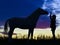 Silhouettes of the horse and the woman on a background of blue clouds in the evening