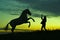 Silhouettes of the horse and the woman on a background of green sky in the evening