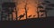 Silhouettes of kangaroos running from forest fires in australia animals dying in wildfire bushfire natural disaster