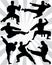 silhouettes of karate fighting