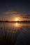 Silhouettes landscape view sunset at a lake, water reflection, birds in silhouttes in the water, moved grass in the