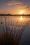 Silhouettes landscape view sunset at a lake, water reflection, birds in silhouttes in the water, moved grass in the