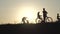 Silhouettes of a large large family with bicycles and dogs at sunset.