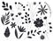 Silhouettes of leaves and flowers. Vector illustration in black color isolated on a white background. Botany plants