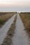 Silhouettes of a lonely girl at the end of a sandy road