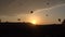 Silhouettes Lots of hot air balloons flying over valleys in Goreme, Turkey. Tourists from all over the world come to