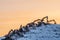 Silhouettes of many excavators working on a huge mountain in a garbage dump