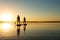 Silhouettes men, friends who are paddling on a SUP boards