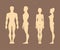 Silhouettes of men and women. Anatomy. Vector Illustration