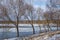 Silhouettes of naked trees against the background of a winter frozen lake and a snowy landscape