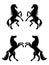 Silhouettes of pairs of prancing horses