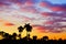 Silhouettes of palm trees against the backdrop of the enchanting sunset sky