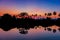 Silhouettes of palm trees at dawn near a lake.