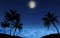 Silhouettes of palm trees at night by the sea with a starry sky and a shining moon. Romantic landscape.
