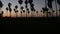 Silhouettes palm trees and people walk on beach at sunset, California coast, USA