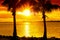 Silhouettes of palms on the beach against the backdrop of the setting sun.