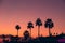 Silhouettes of palms at orange and violet sunset sky background on tropical resort embankment, copy space for text