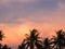 Silhouettes Palms trees on the beautiful sunset background. Coconut trees against pink sky. Palm trees at tropical coast.