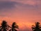 Silhouettes Palms trees on the beautiful sunset background. Coconut trees against pink sky. Palm trees at tropical coast.