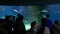 Silhouettes of people against the background of a large aquarium