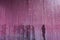 Silhouettes of people behind a curtain of electric pink garlands