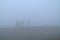 Silhouettes of people and dog walking in thick fog