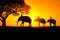 Silhouettes of people and elephants