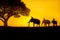Silhouettes of people and elephants