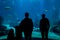 Silhouettes of people in front of the lisbon oceanarium tanks, small crowd crowded to the glass