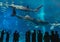 Silhouettes of people and giant whale shark of fantasy underwater in Okinawa Churaumi Aquarium