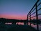 silhouettes people looking out to the river during sunset at person