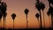 Silhouettes of people and palm trees on beach at sunset, California coast, USA.