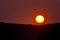 Silhouettes of pine trees at sunset with the sun about to disappear on the horizon. Jacques-Cartier National Park, Canada. Nature